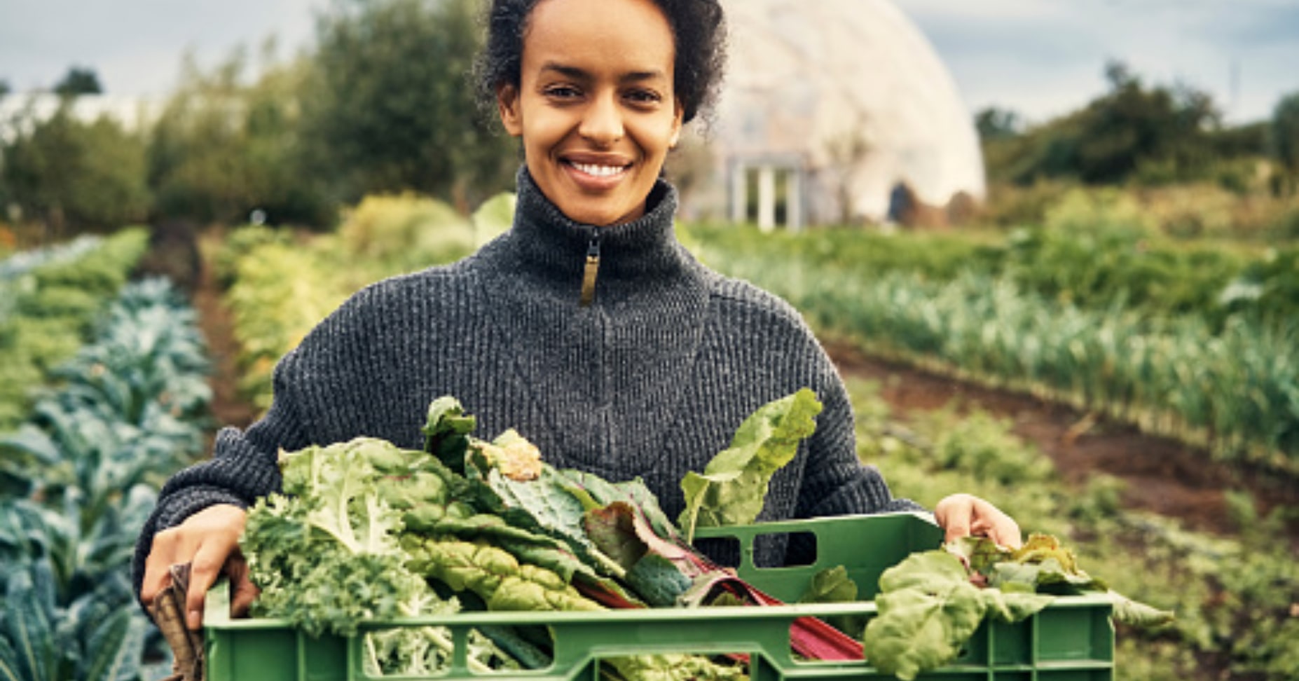 Permaculture Farming