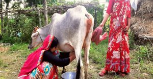 Feminization of Agriculture