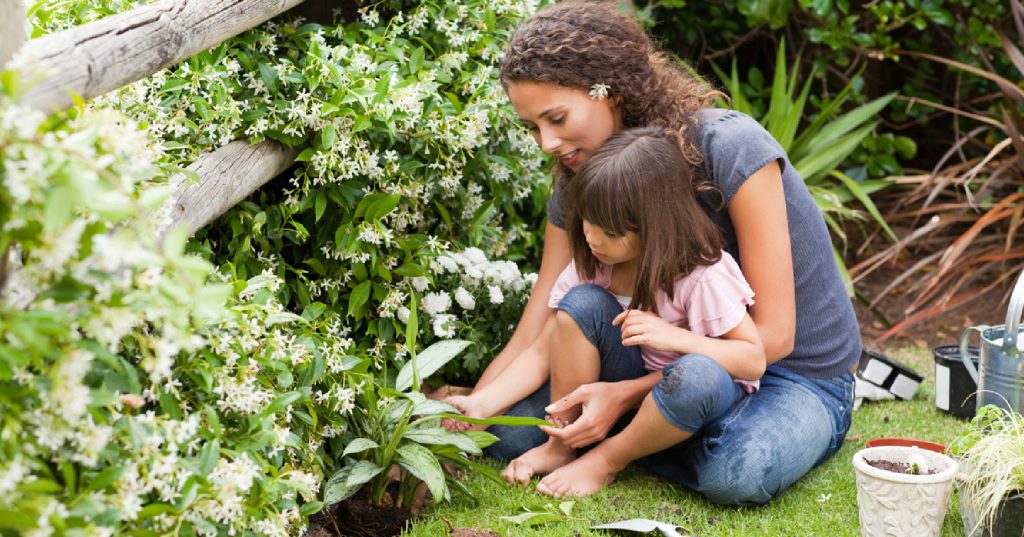 Why Growing Your Own Food is the Best Idea of 2026