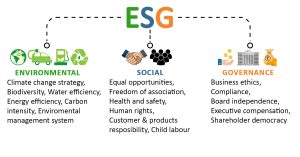 ESG Frameworks