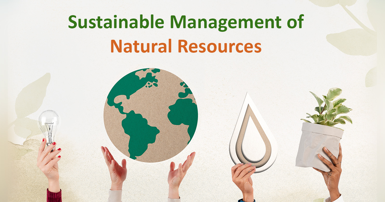 Sustainable Management