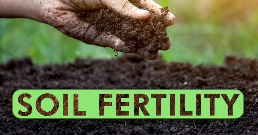 Soil Fertility: An Overview