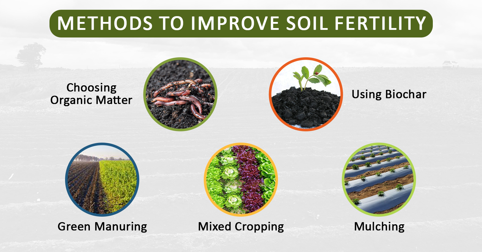Soil Fertility: An Overview | Importance, Factors & Improvement Method