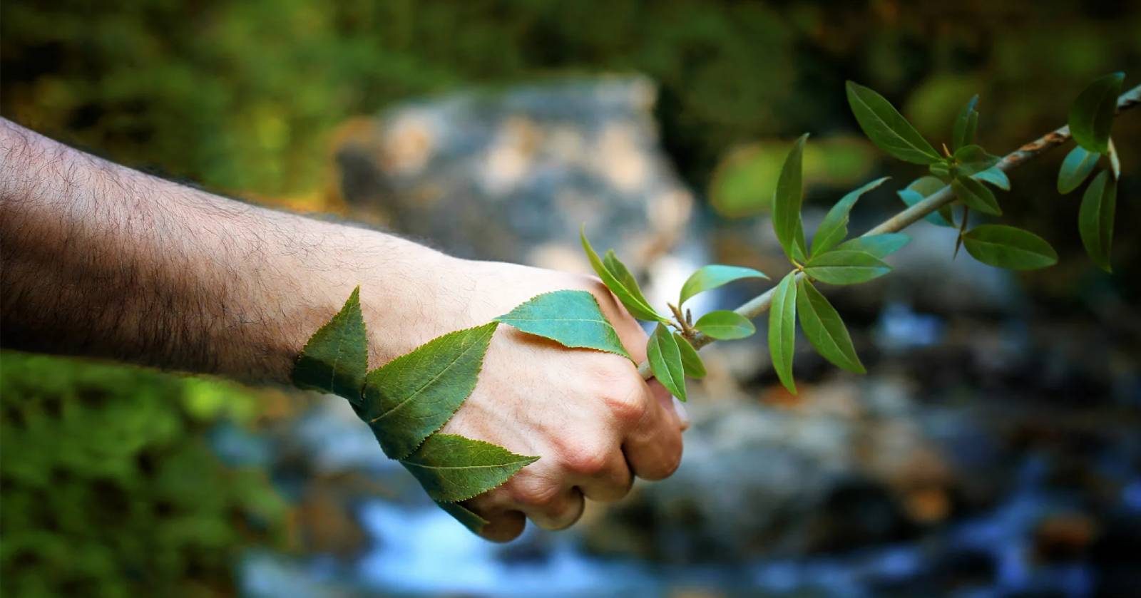 Live Sustainably