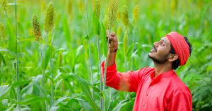 Natural Farming vs Organic Farming