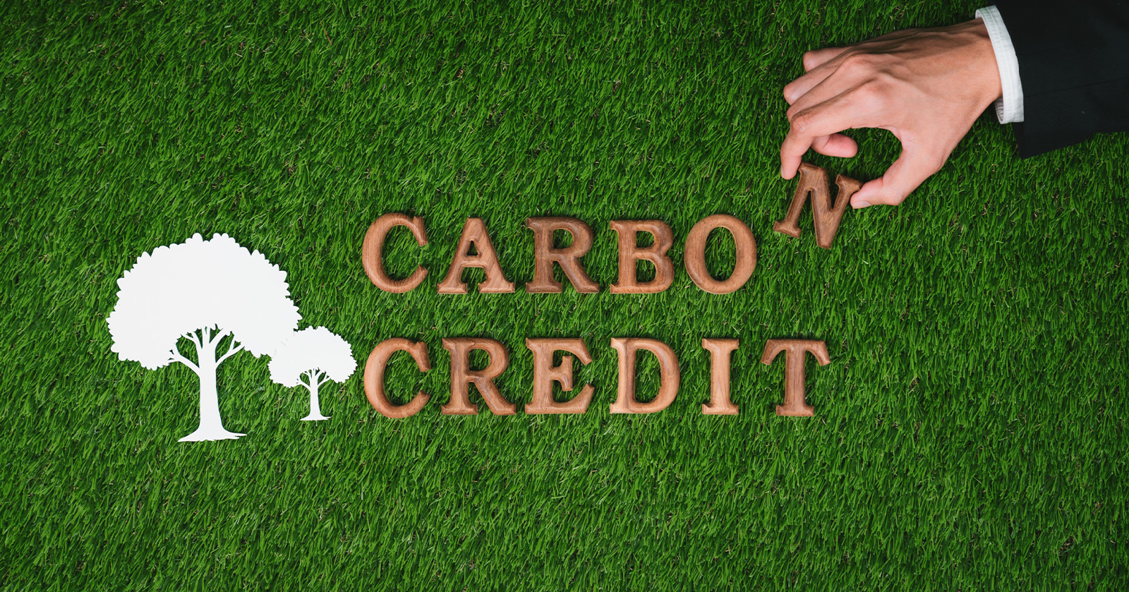 Carbon Credit: