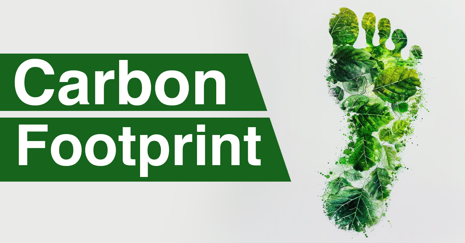 Carbon footprint