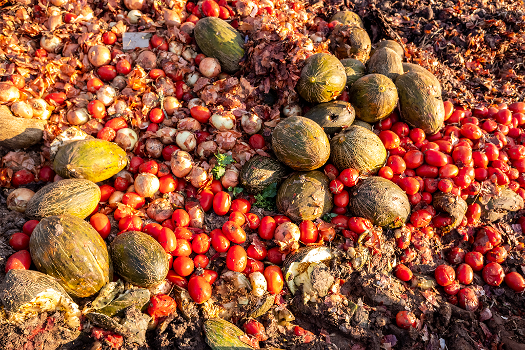 Food Waste