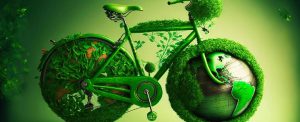 Live Sustainably