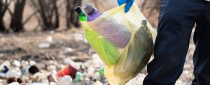 Live Sustainably