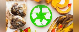 Live Sustainably