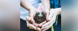 Live Sustainably