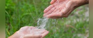 Live Sustainably