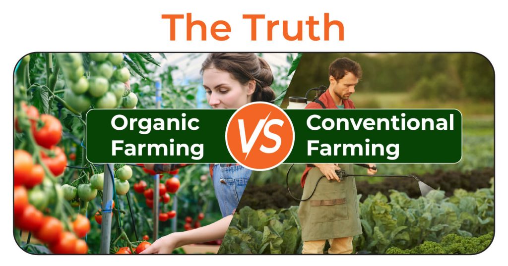 Organic Farming vs. Conventional Farming: Which is Better?