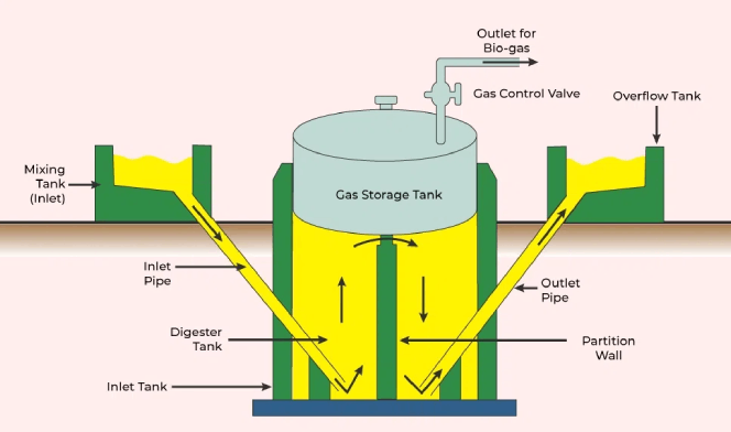 Full-Scale Plant Setup
