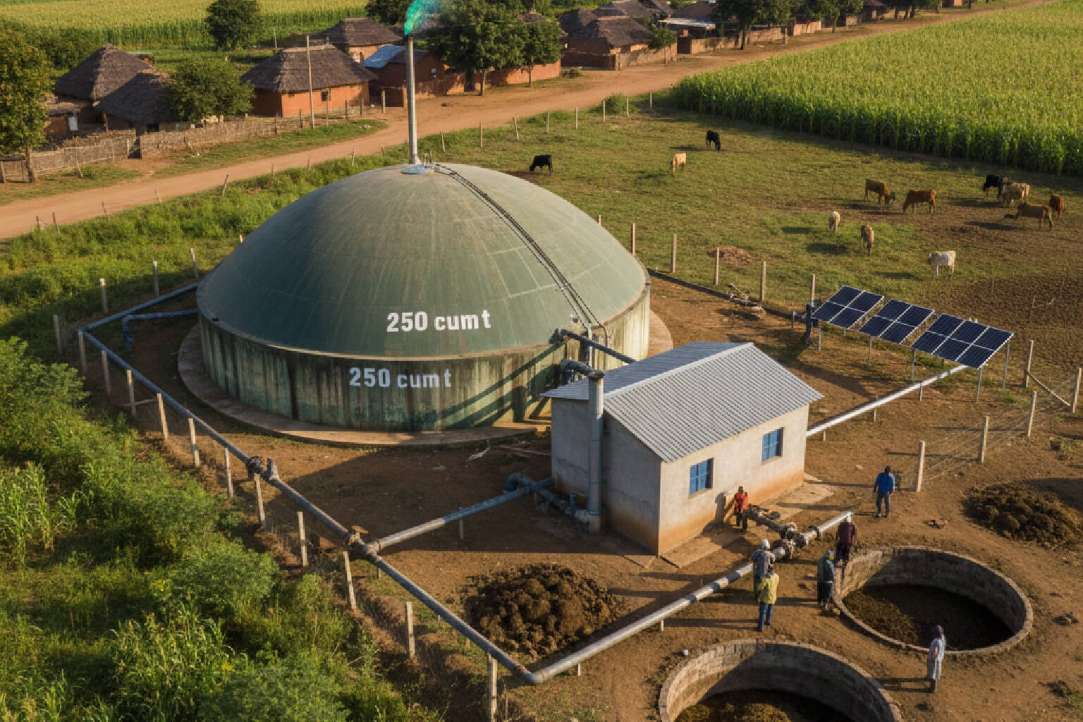 Biogas Plant 250 CUM