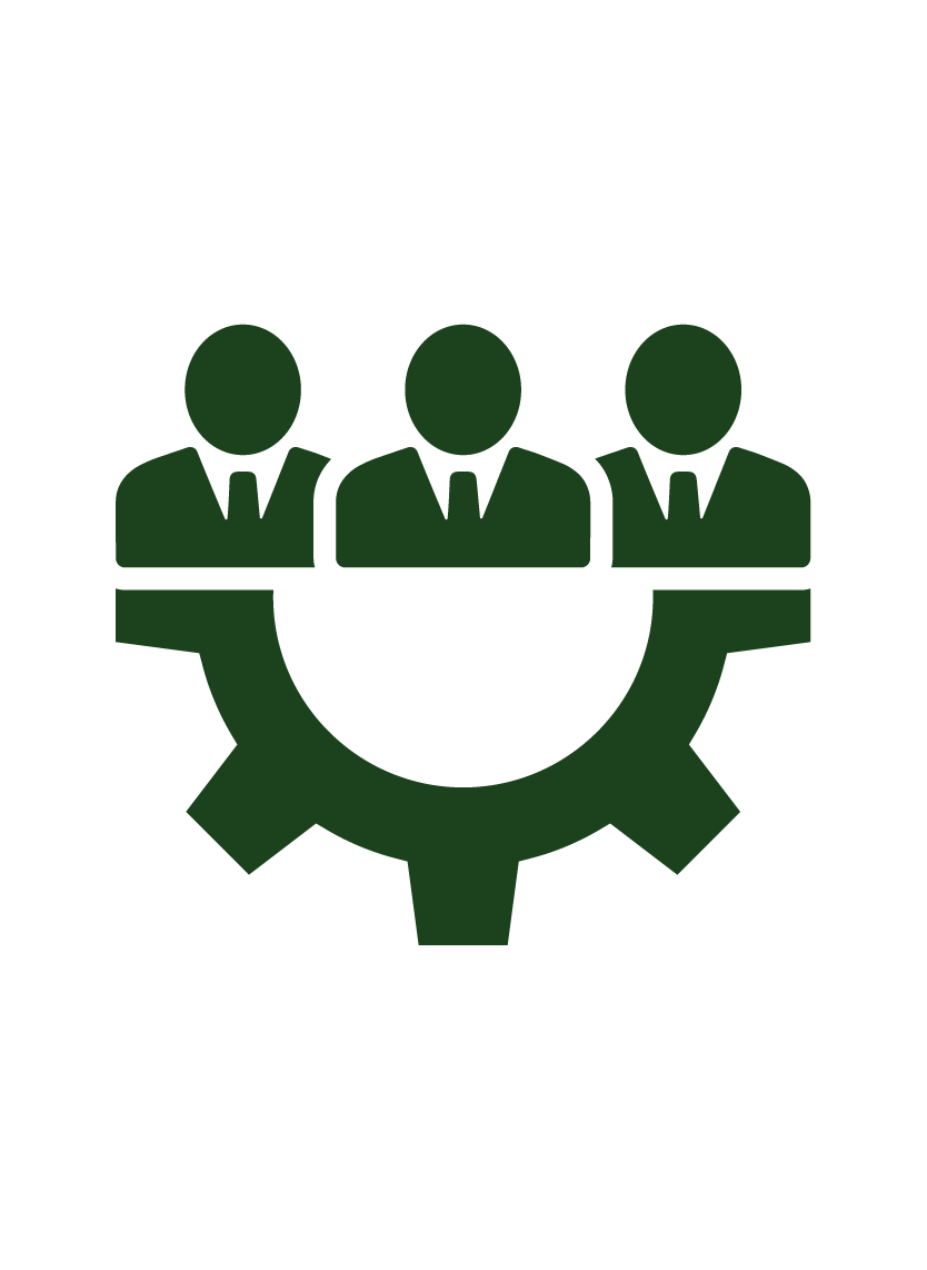 Supportive Team Environment