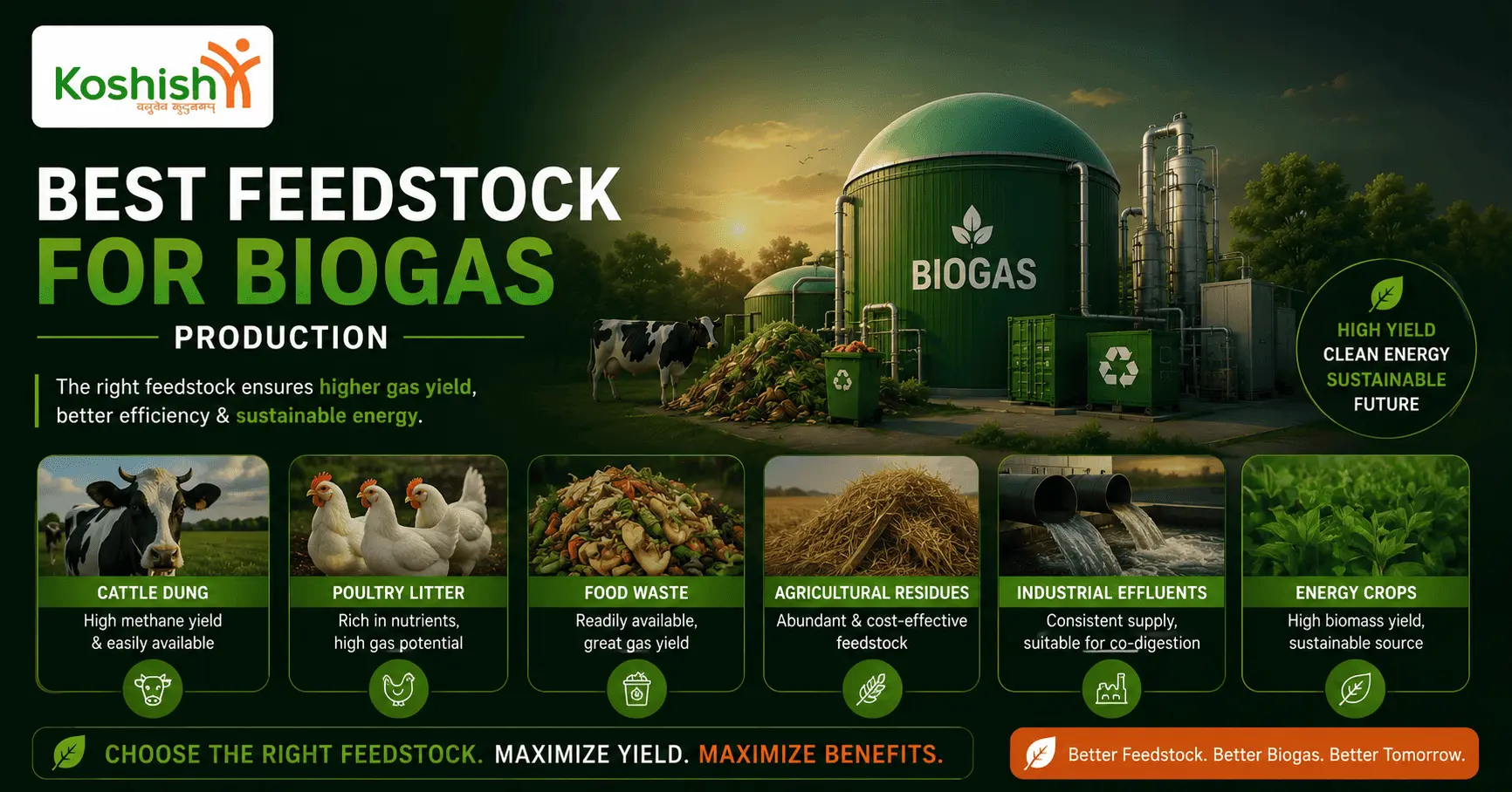 Best Feedstock for Commercial Biogas Production