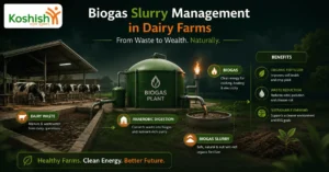 Biogas Slurry Management