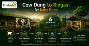 biogas