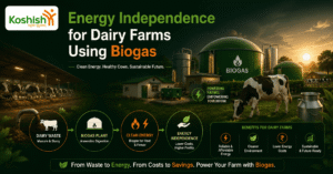 Energy Independence