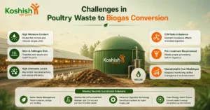 Poultry Waste