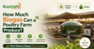 Biogas