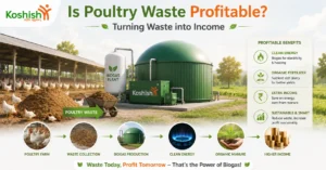 Poultry Waste
