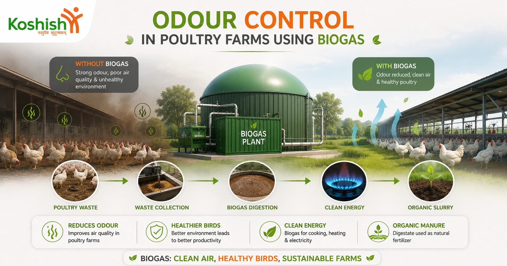 Poultry Farm Odour Control Using Commercial Biogas Plant