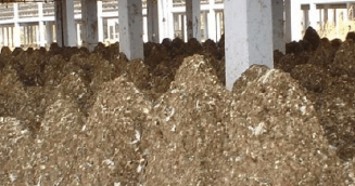 biogas for poultry farm