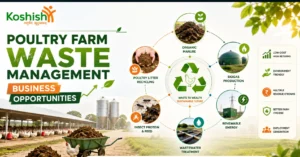 Poultry waste management