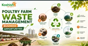 Poultry waste management