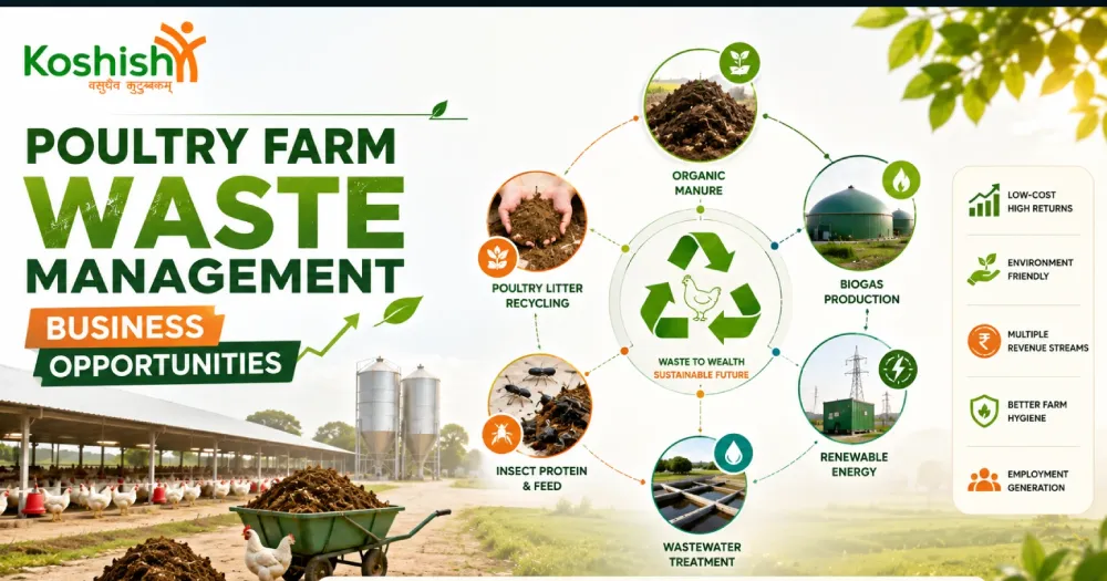 Poultry Farm Waste Management Business Opportunities