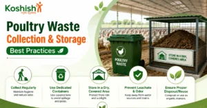 Poultry Waste