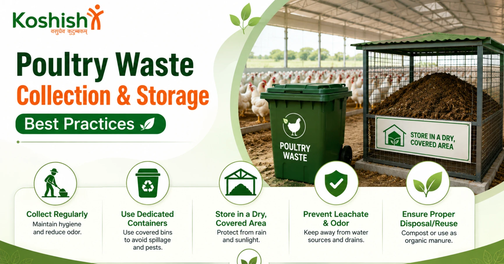 Poultry Waste