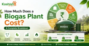 Biogas Plant Cost