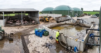 Piggery Sludge