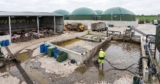 Pig Urine and Liquid Waste