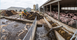 Piggery Waste