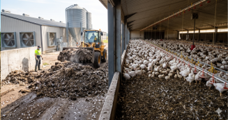 Poultry Waste
