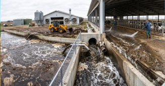 Animal Shed Wash Water
